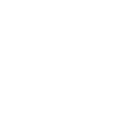 MSM_Logo-1 PNG